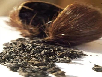 Af hverju Deer Musk Powder er vinsælt á markaðnum?
